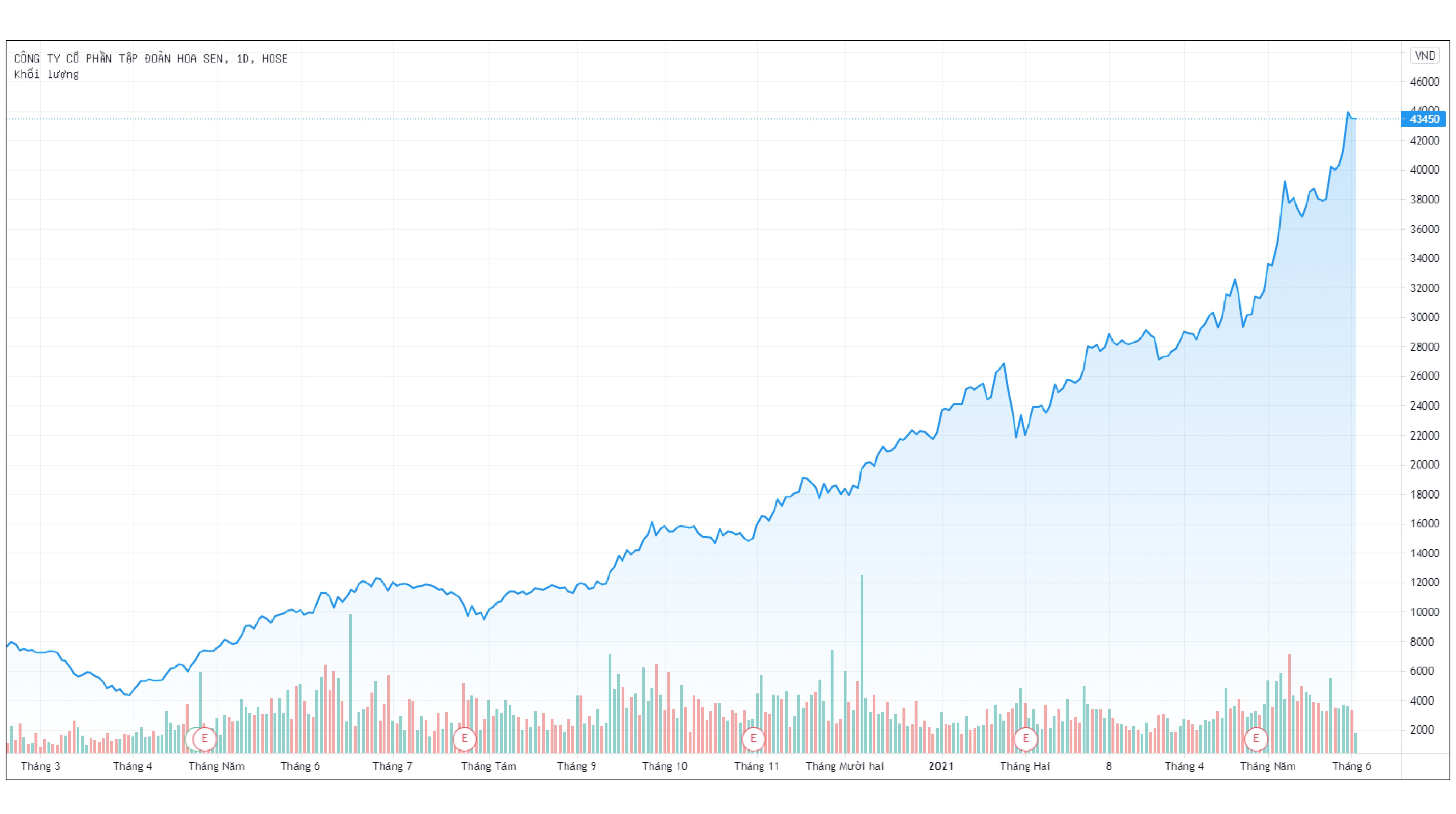 Co phieu HSG lien tuc vuot dinh anh 2