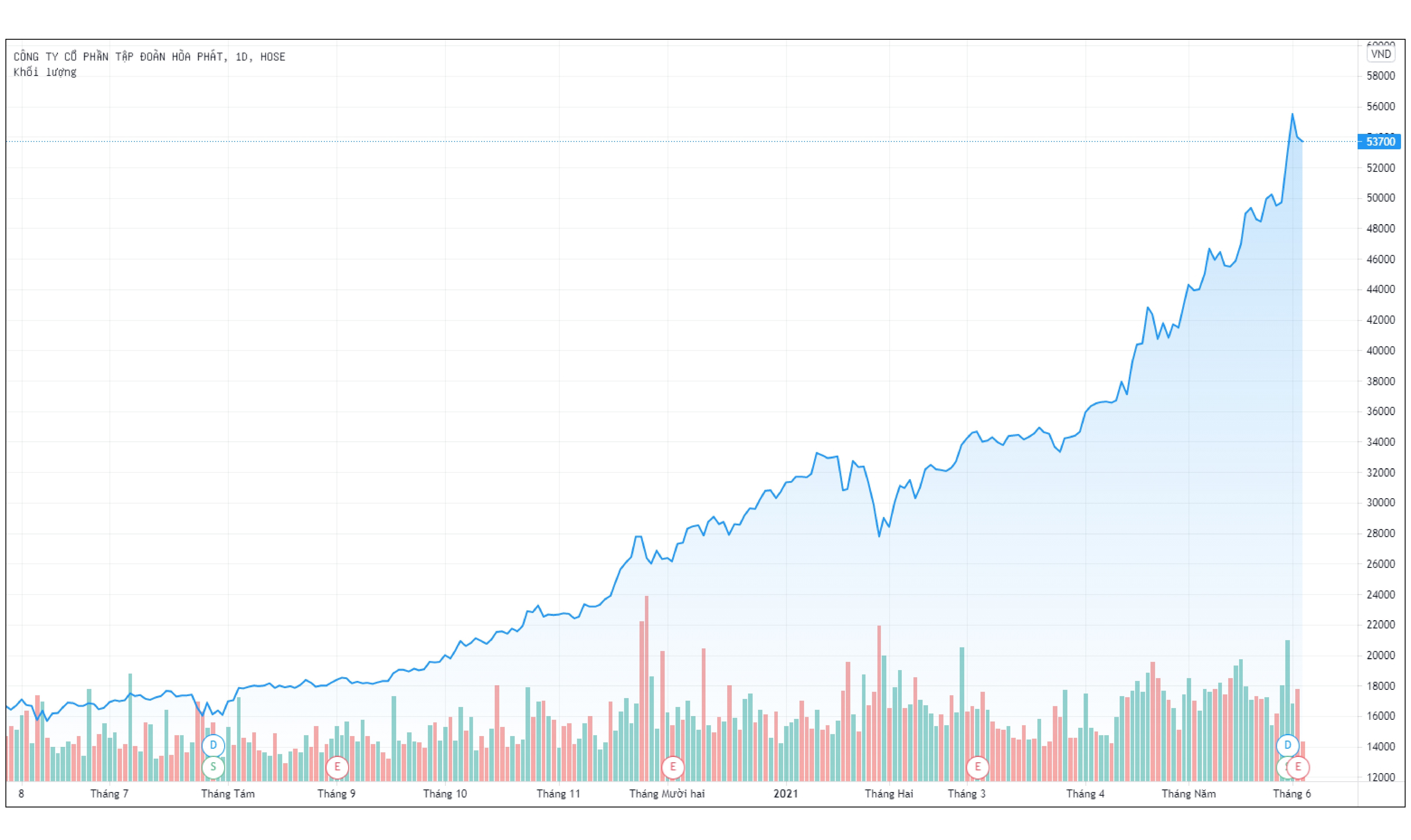 Con trai ong Tran Dinh Long bi yeu cau dung mua co phieu Hoa Phat anh 1