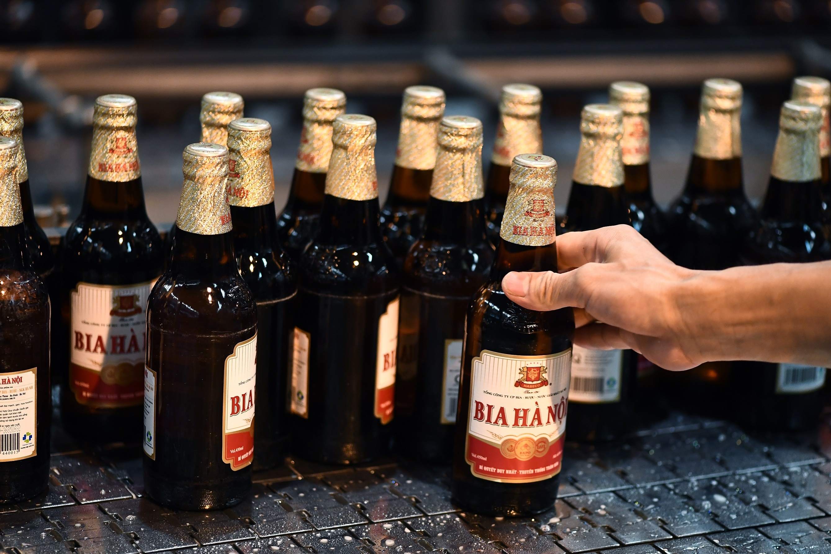 Bia Ha Noi lai 'tham don' Covid-19 hinh anh