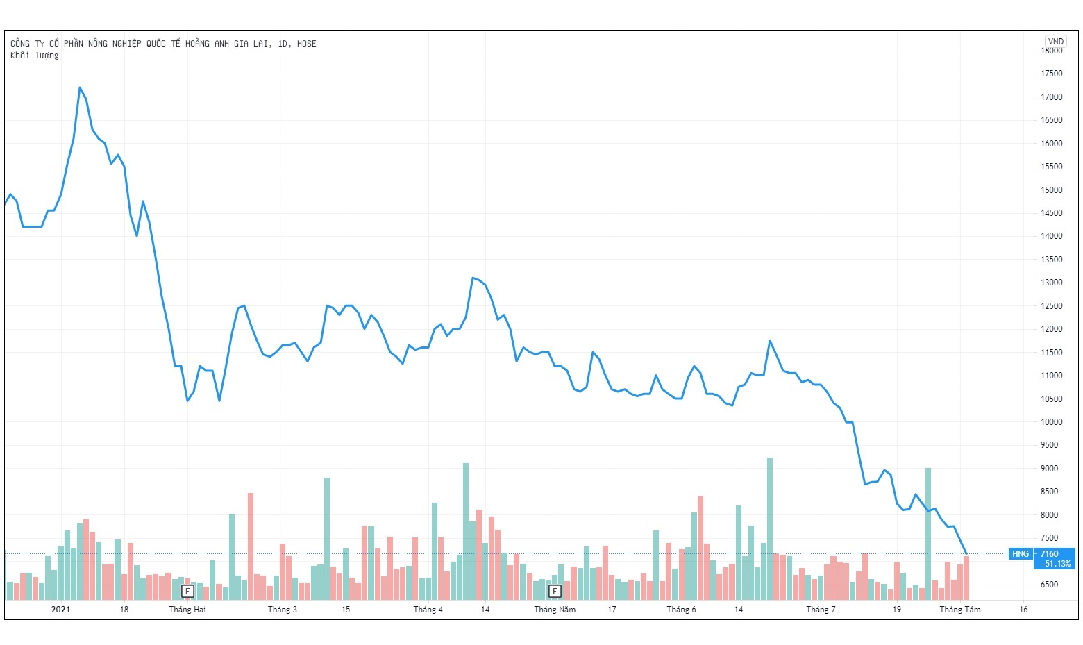 Hanh trinh ve day cua co phieu HNG anh 1
