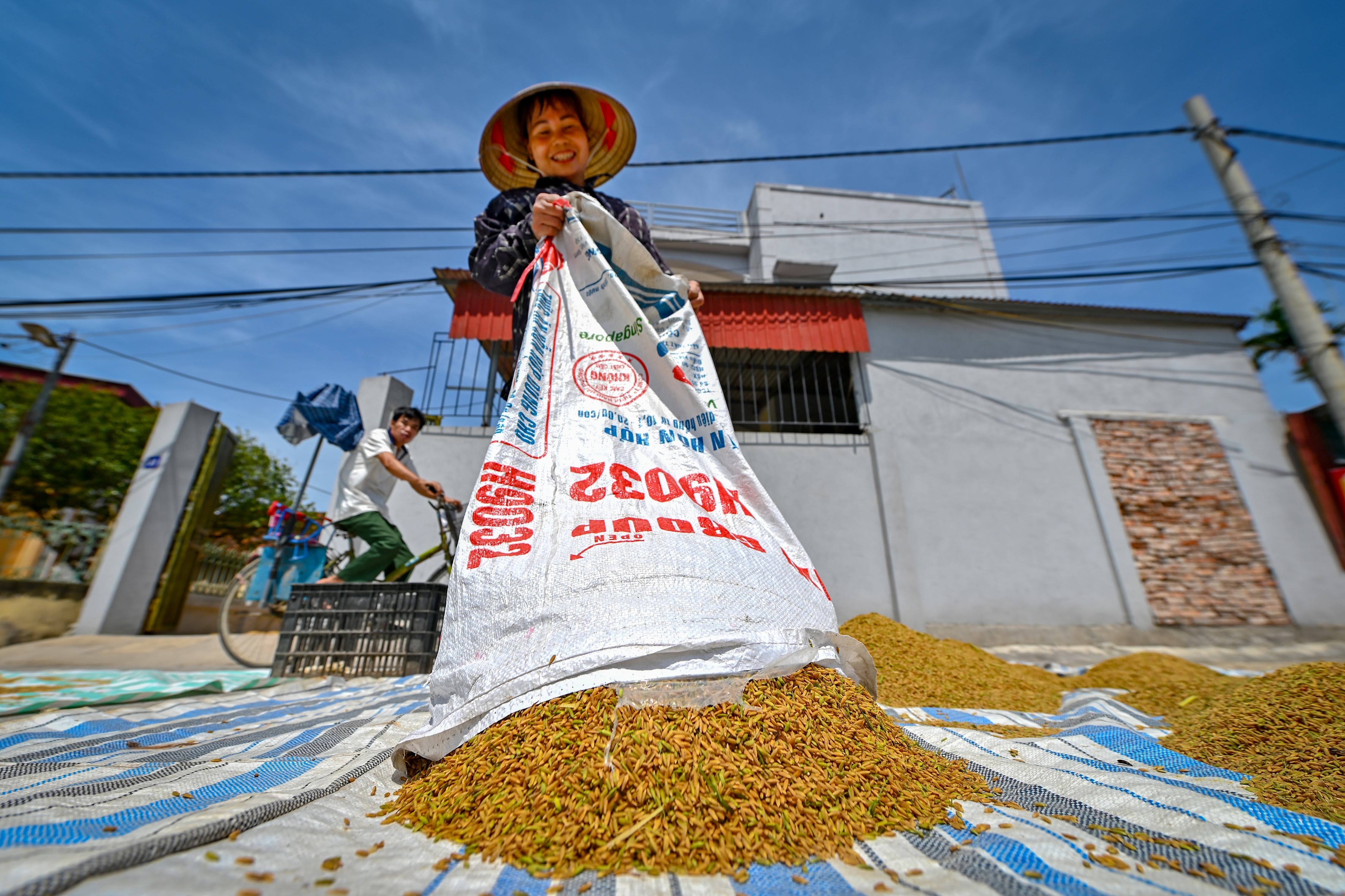 Loi nhuan quy II cua Loc Troi giam 60% hinh anh