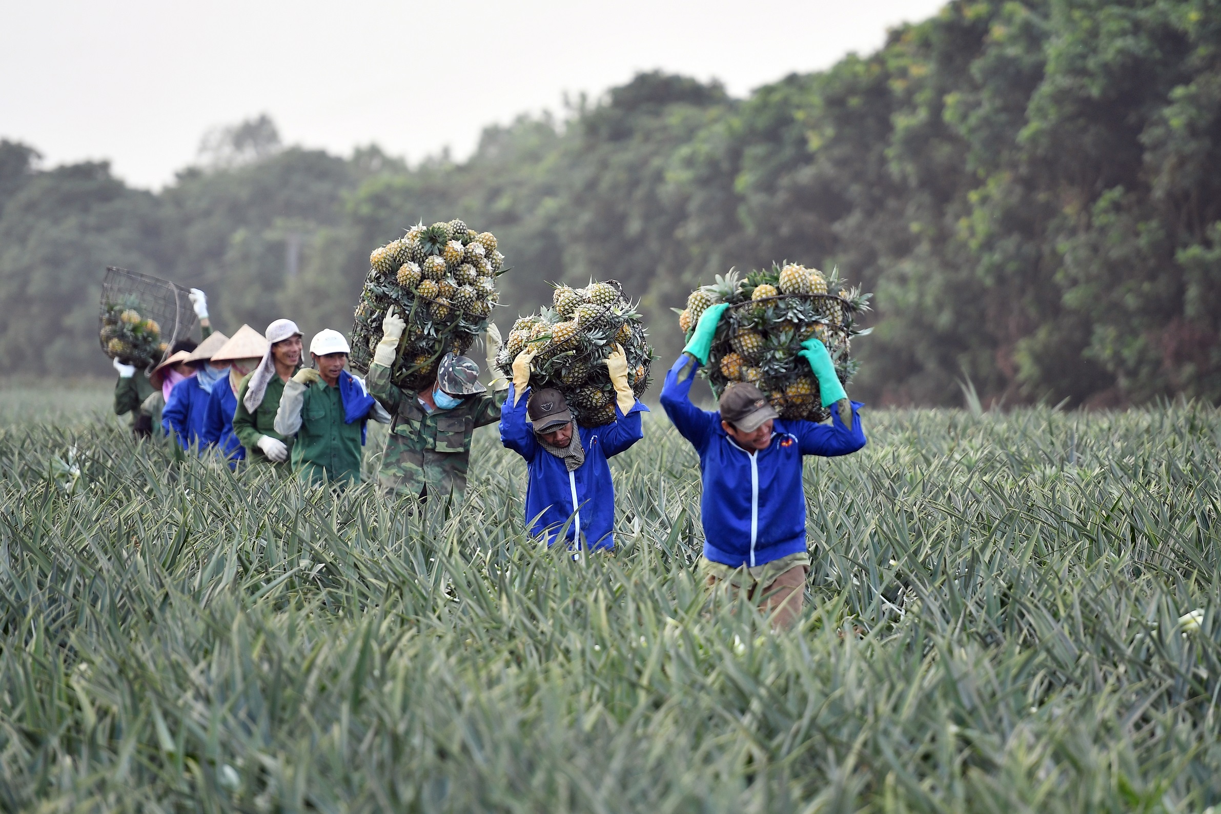 Doanh nghiep xuat hang sang Trung Quoc qua duong chinh ngach anh 1