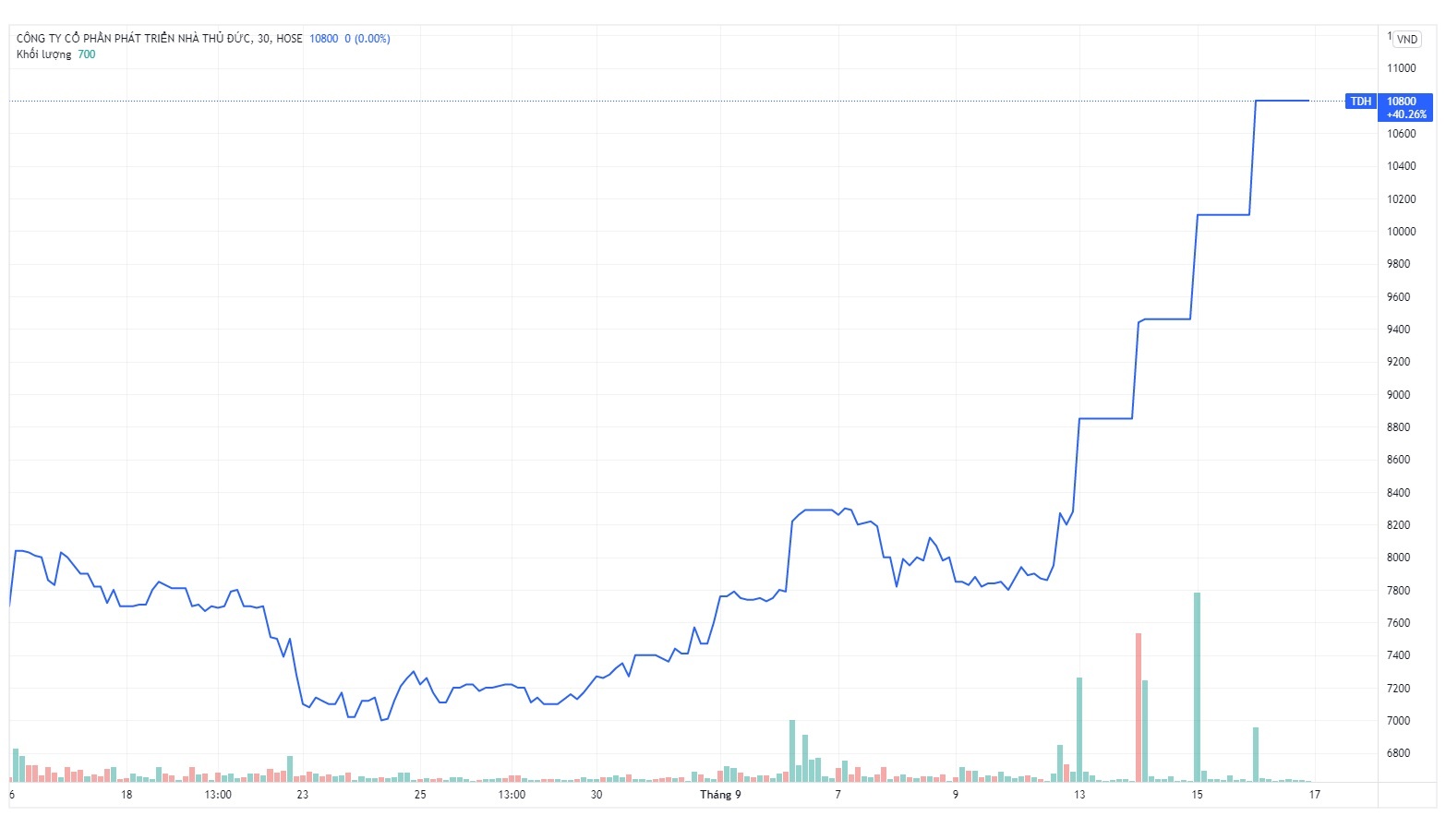 Co phieu Thuduc House gia nhap ‘ho Louis’? anh 1