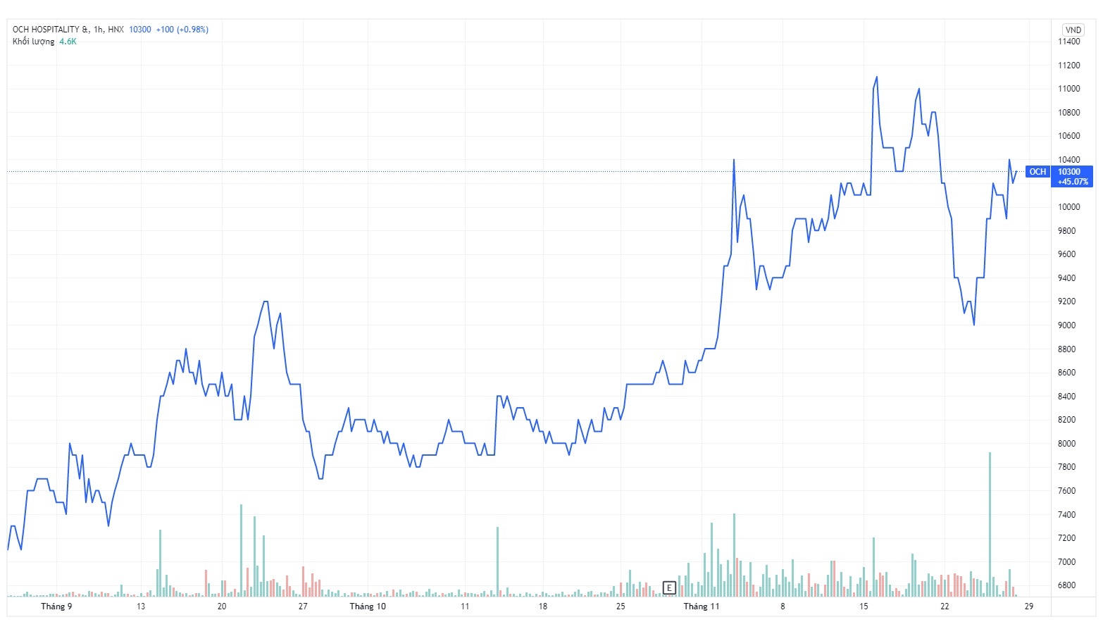 Chi cuc thi hanh an Ba Dinh ban lo co phieu OCH hon tram ty dong anh 2