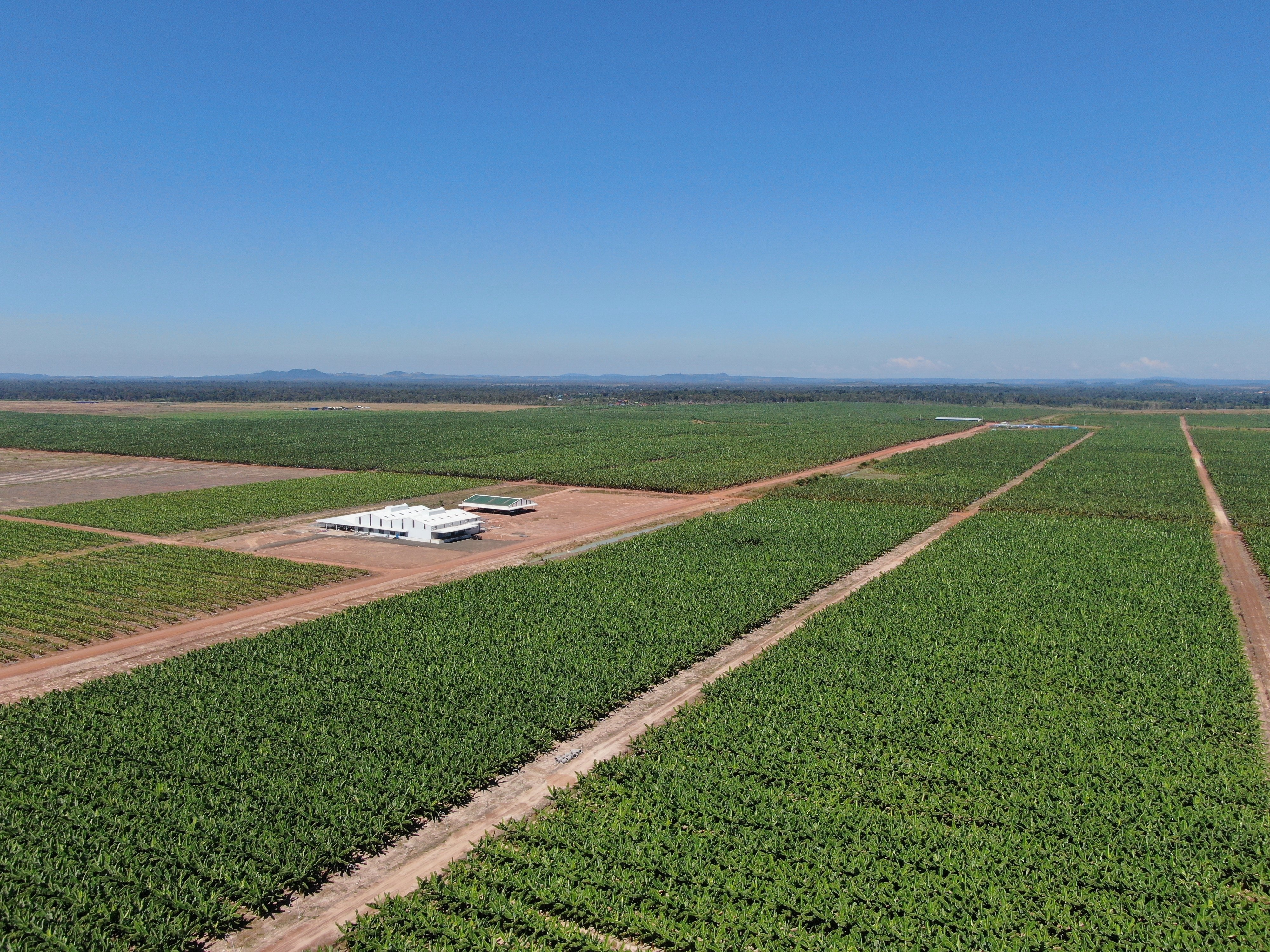 Ke hoach kinh doanh nam 2022 cua Thaco anh 2