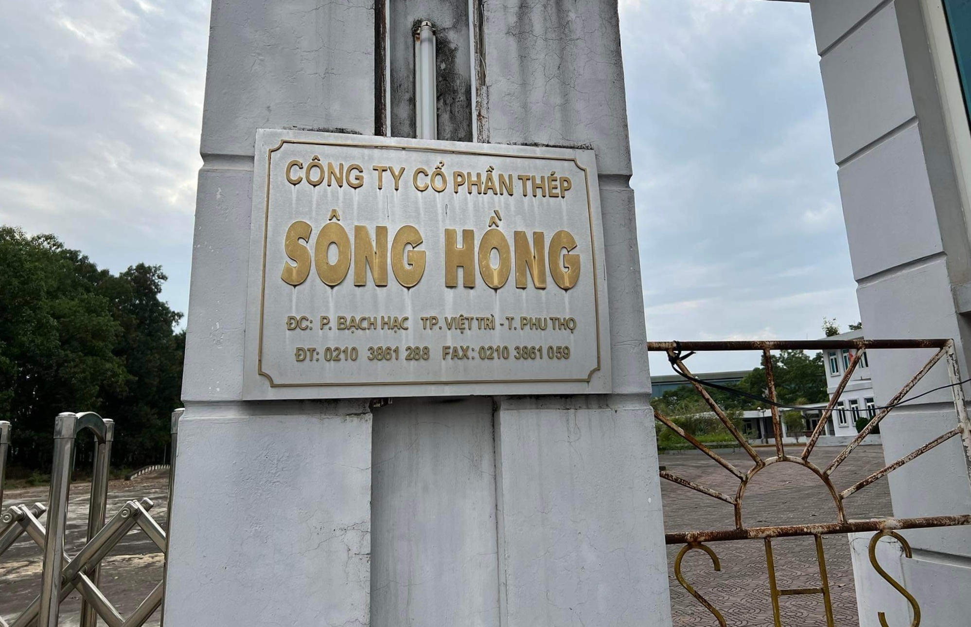 Nu dai gia khong the cuu Thep Song Hong hinh anh