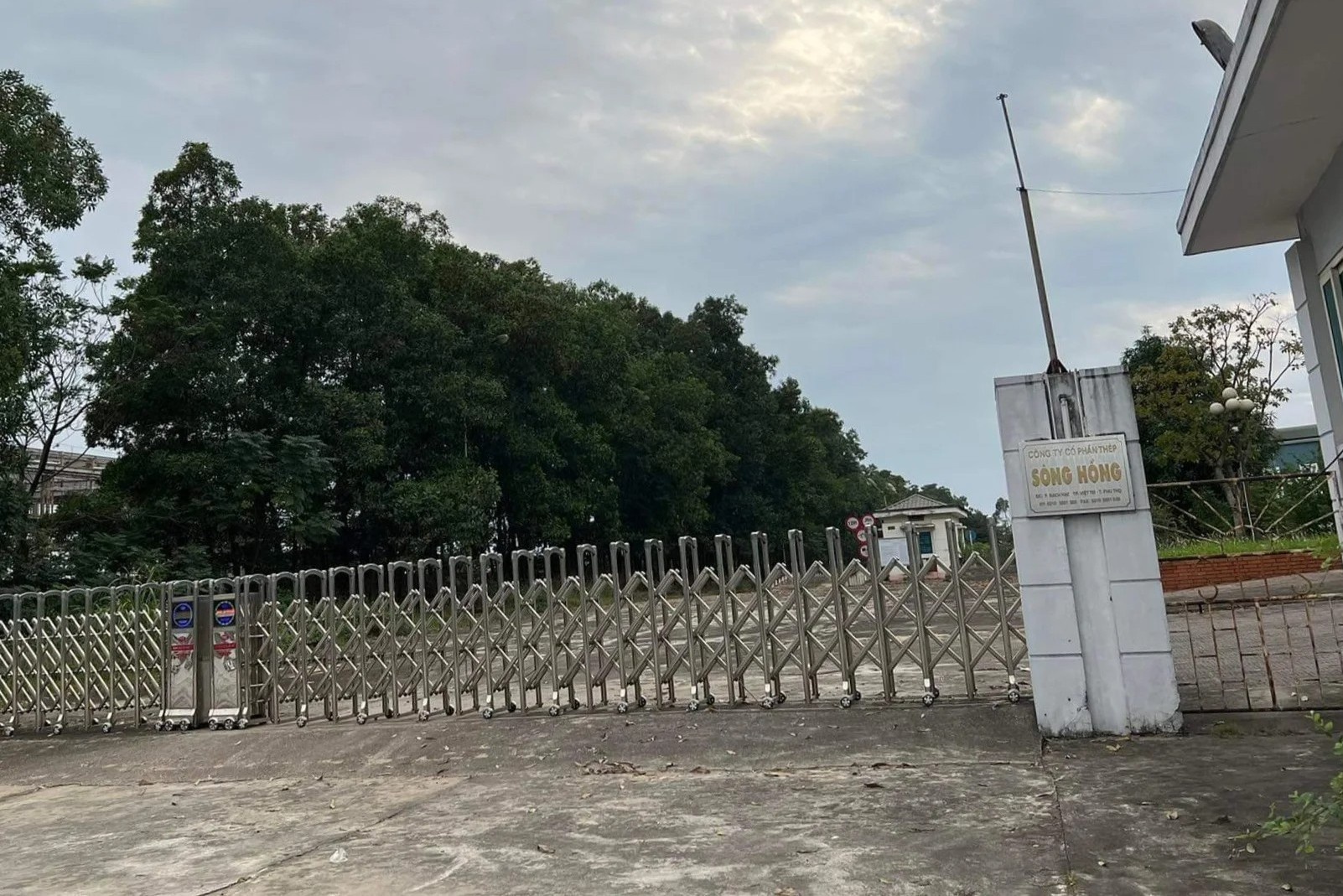 Thep Song Hong con lai gi sau khi giai the? hinh anh