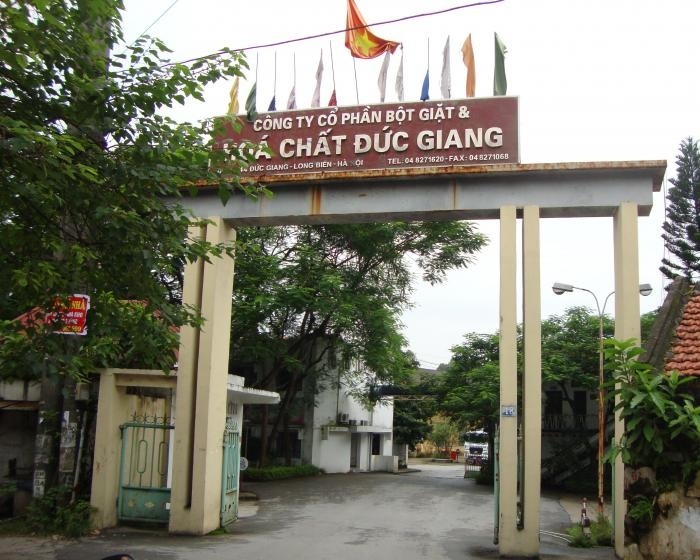 Duc Giang lai nho gia hoa chat tang hinh anh