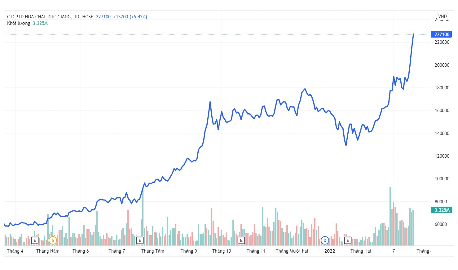 Hoa chat Duc Giang lon nhanh nhu thoi anh 1