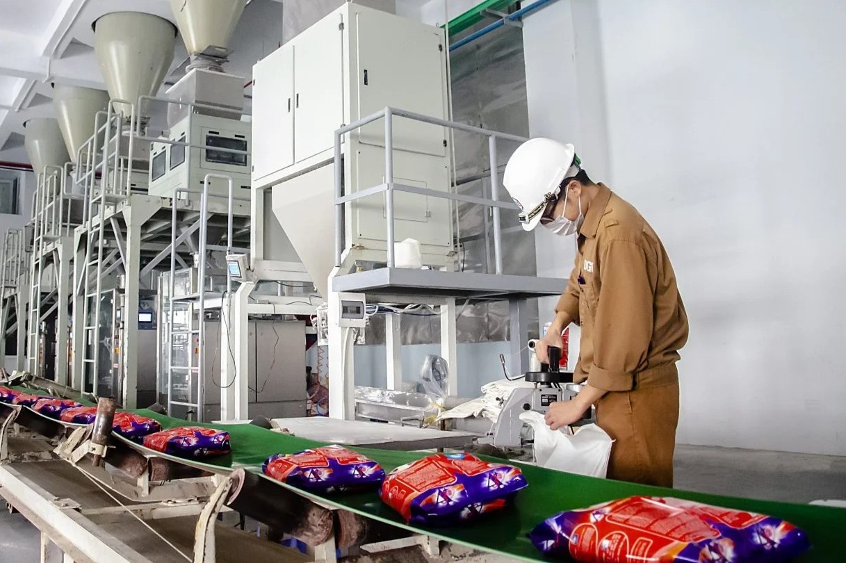 Von hoa cua Hoa chat Duc Giang dat 1,7 ty USD hinh anh