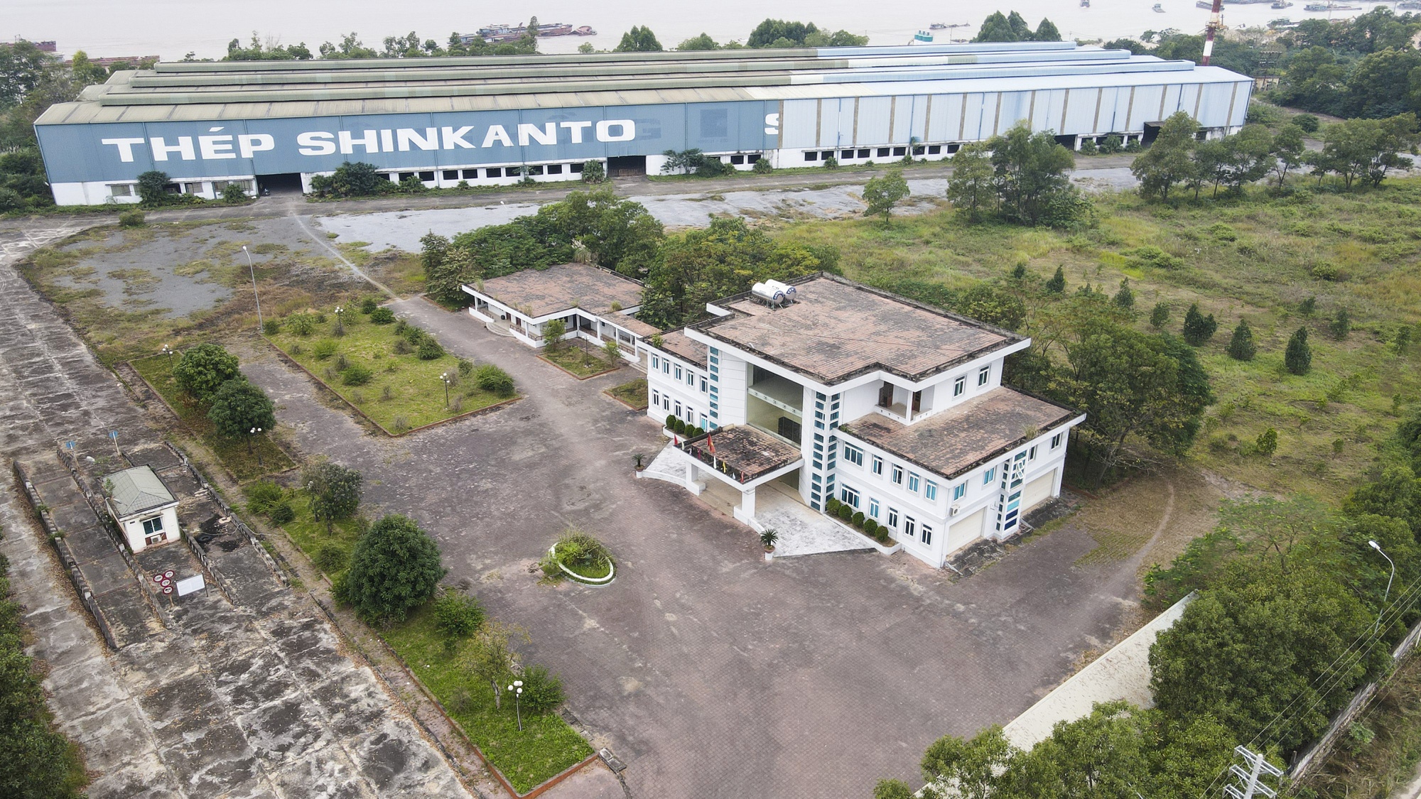 Nu dai gia dung sau thuong vu Thep Song Hong giai the anh 1