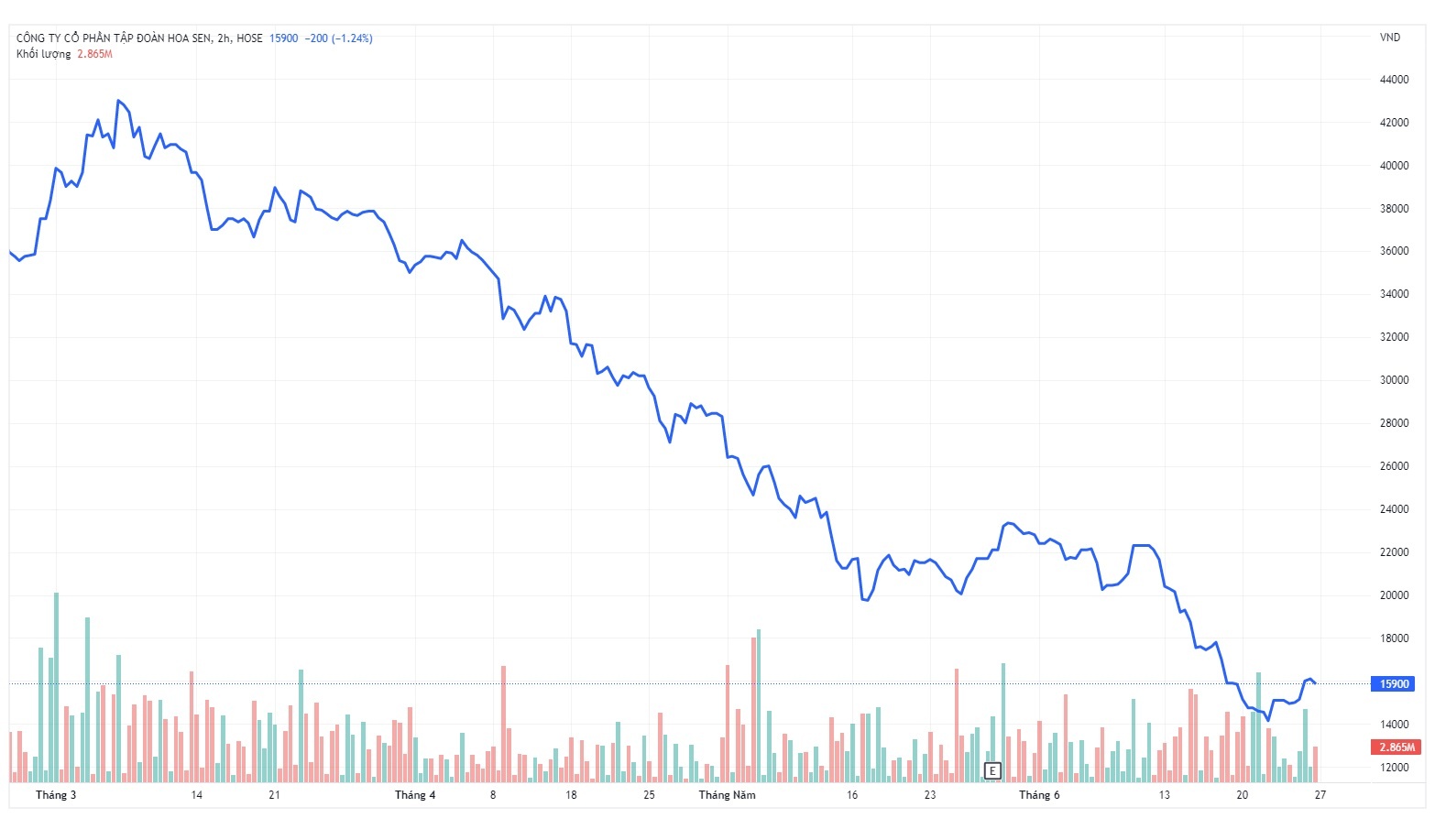Cong ty ong Le Phuoc Vu thoai von khoi hoa sen anh 1