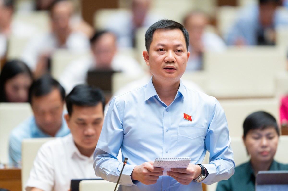 doc quyen vang mieng,  dai bieu quoc hoi,  trinh xuan an anh 1