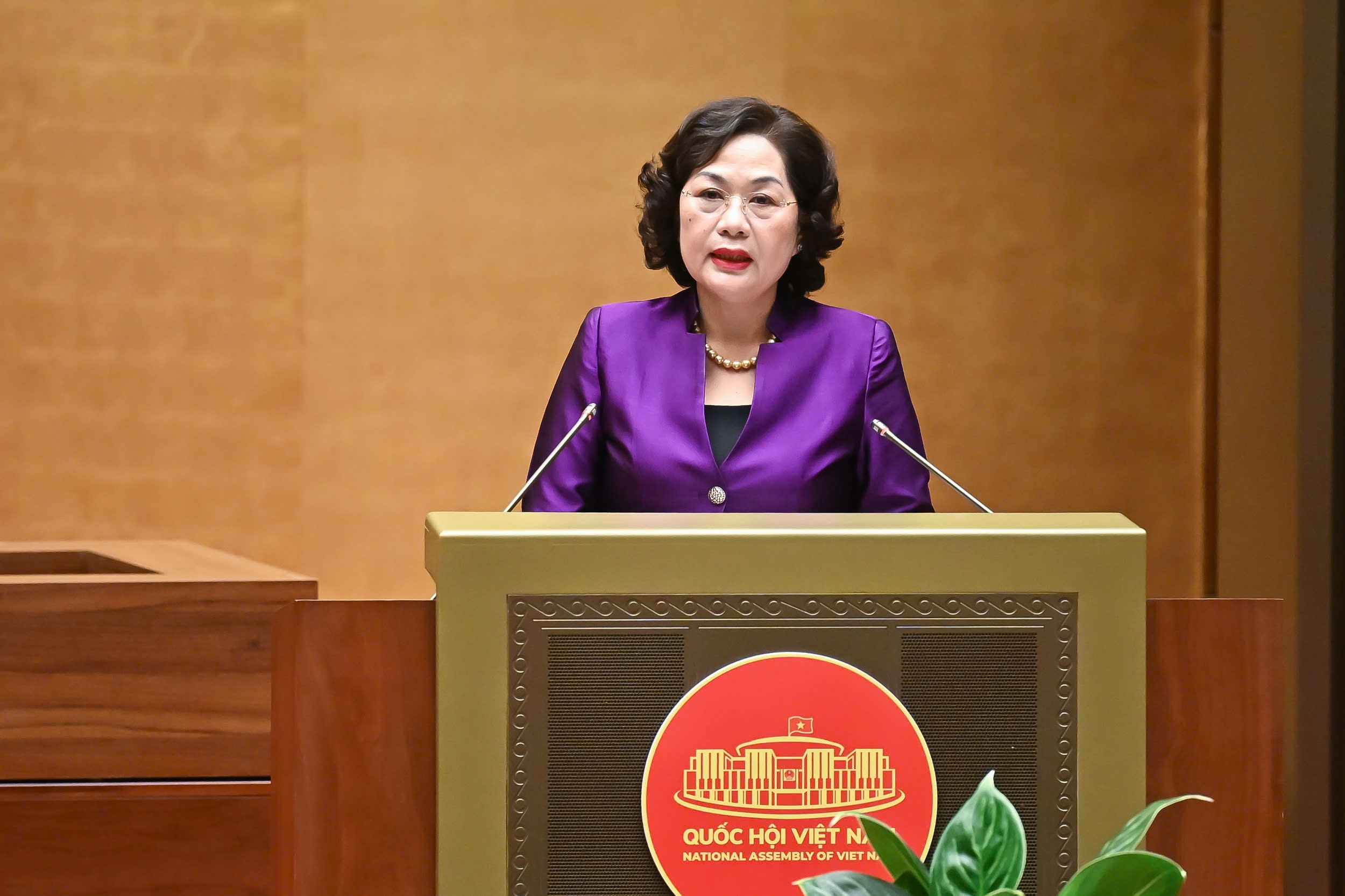 Ngan hang Nha nuoc duoc quyet cho vay dac biet lai 0% hinh anh