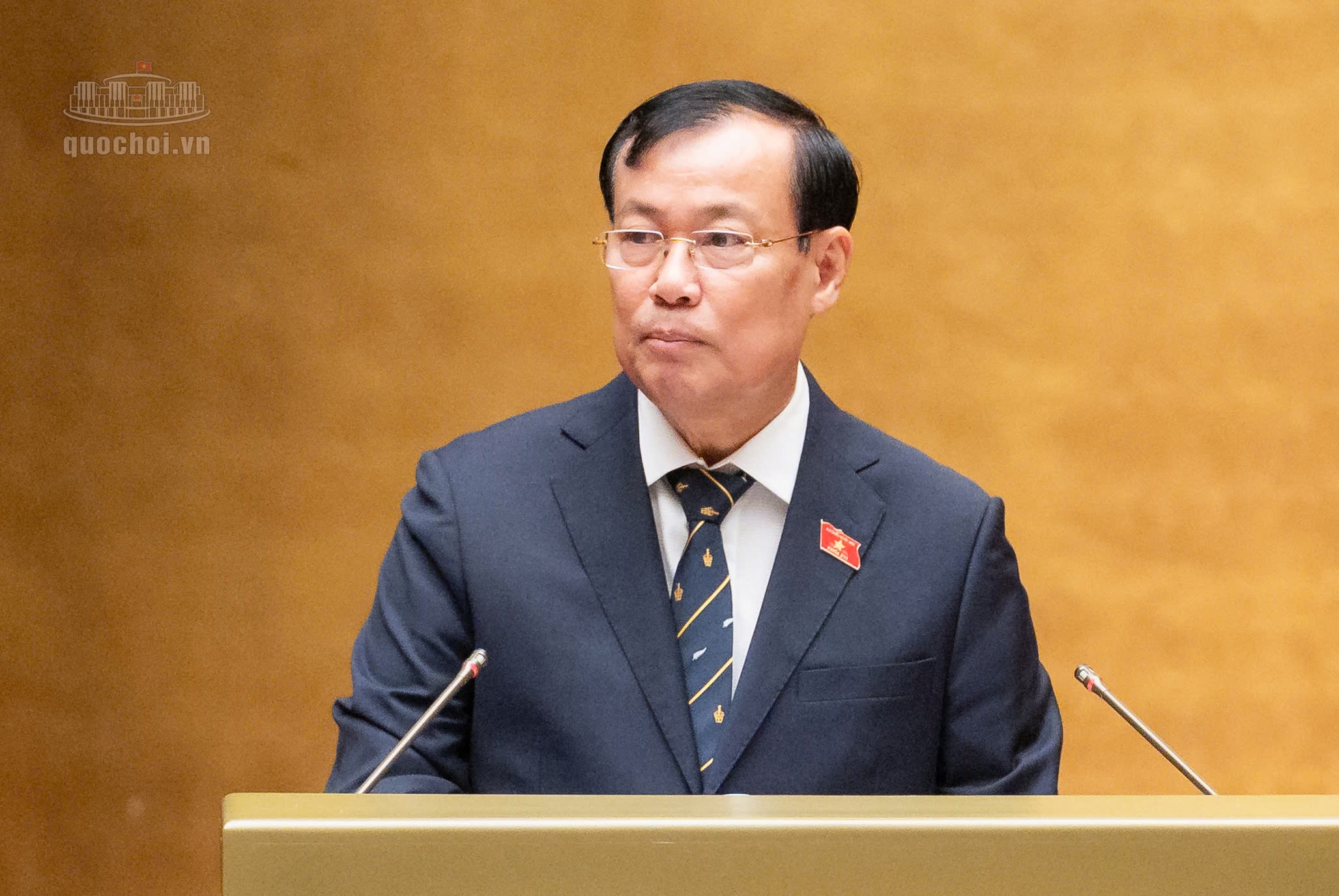 quốc hội ảnh 3