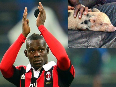 Chan choi cho canh, Balotelli chuyen sang lon cau may hinh anh