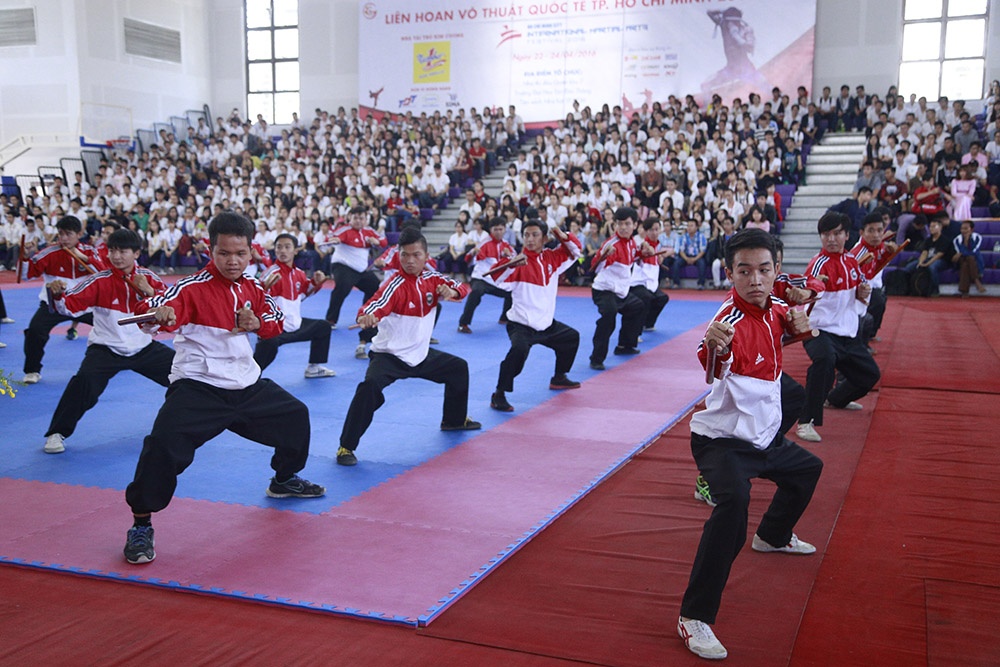 Dai hoi vo thuat quoc te TP HCM anh 3