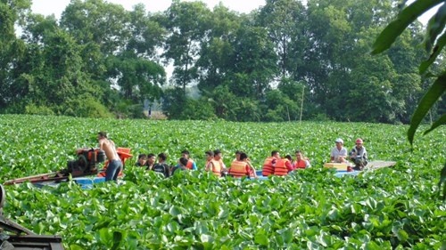 Dua gion lam lat ghe, 4 nguoi mat tich hinh anh