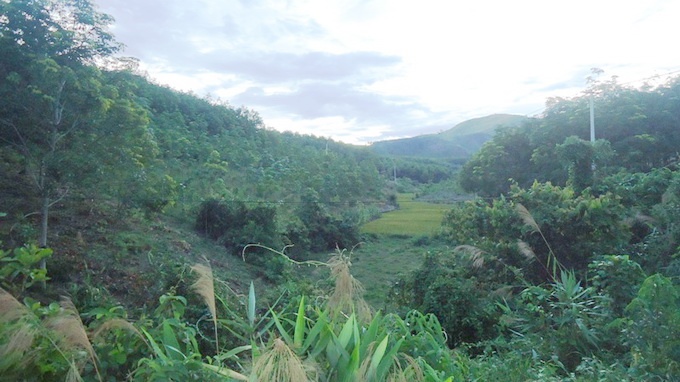 Set danh chong chet, vo trong thuong hinh anh