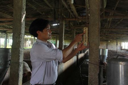 Anh Trần Thế Toàn, chủ trang trại lợn ở xã Nhật tân (Kim Bảng, Hà Nam) ngoài đâu tư giàn phun mưa trên mái, anh còn đầu tư thêm quạt treo tường, quạt cây và cặp nhiệt độ thường xuyên để kiểm tra nhiệt trong chuồng.