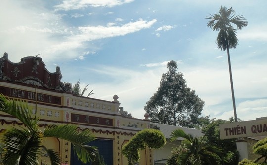 Hang nguoi nguoi keo den Hoc Mon xem 'phat hien tren cay' hinh anh