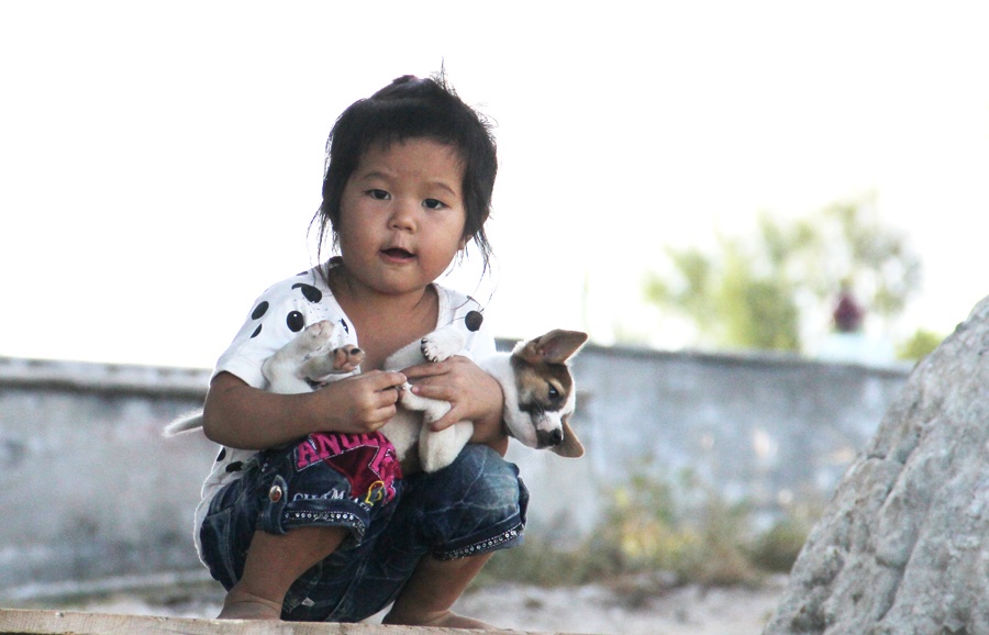 Còn quá nhỏ nên cô bé không được anh cho xuống biển nên chỉ biết đứng trên bờ vui với cún con.