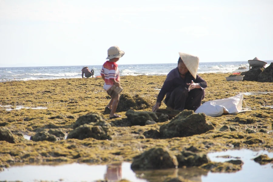 Sinh ra ở vùng nổi danh về nghề bơi lặn nên nhiều trẻ được người thân cho làm quen với biển rất sớm.