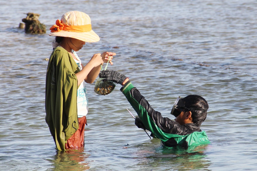 Nhung 'rai ca' nhi tren dao Ly Son hinh anh