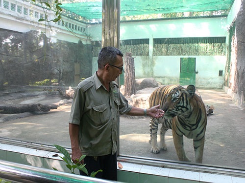 'Bat' ho phai de hinh anh