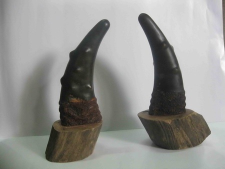 Nhan vien ban hang buon lau sung te giac gan 1 ty dong hinh anh