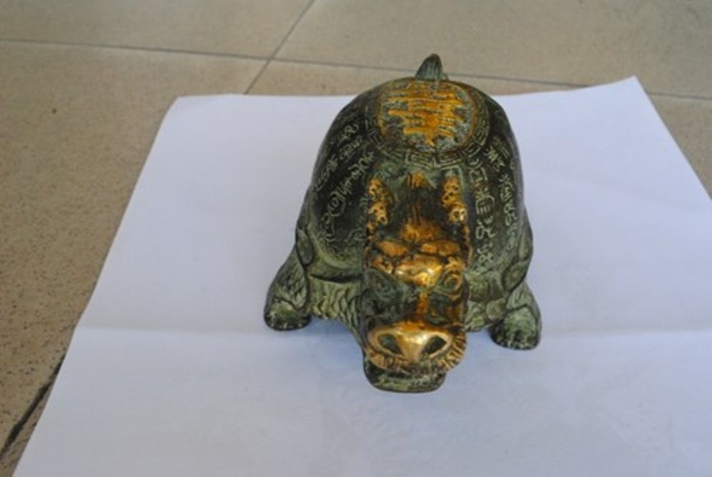 Nguoi dan phat hien rua dong co hinh anh