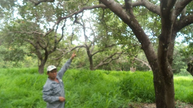 Hiện trường nơi phát hiện xác nạn nhân.