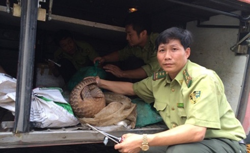 Dong vat hoang da bo lom ngom trong ham bi mat xe khach hinh anh
