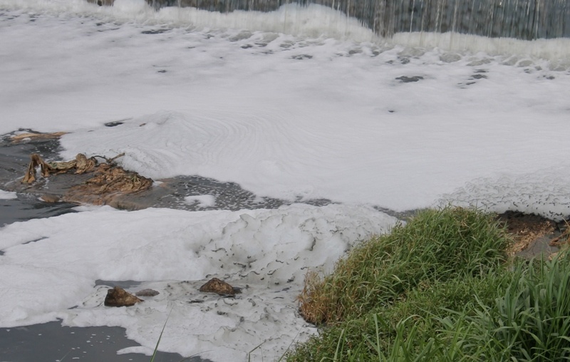 Những khối bọt này, nhìn từ xa có màu trắng rất bắt mắt nhưng quan sát kỹ sẽ nhìn thấy lấm tấm đen, đỏ, vàng đủ màu sắc.