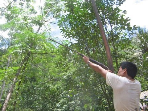 Di san thu, ban chet nguoi hinh anh