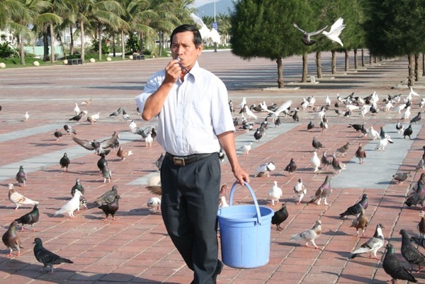 Như mọi ngày, đúng 6h sáng, ông Lê Minh Hải (48 tuổi, nhân viên Phòng quản lý và khai thác du lịch biển thuộc Ban quản lý bán đảo Sơn Trà và các bãi biển du lịch Đà Nẵng) lại cất tiếng còi gọi đàn chim câu từ các chuồng nuôi ở Công viên Biển Đông về quảng trường công viên để “ăn điểm tâm”.