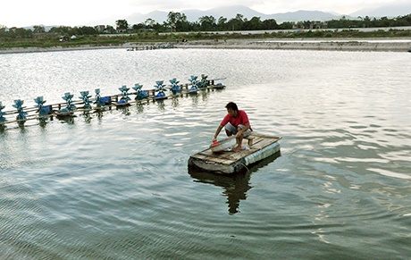 Mua ma tuy ve cho... tom an hinh anh