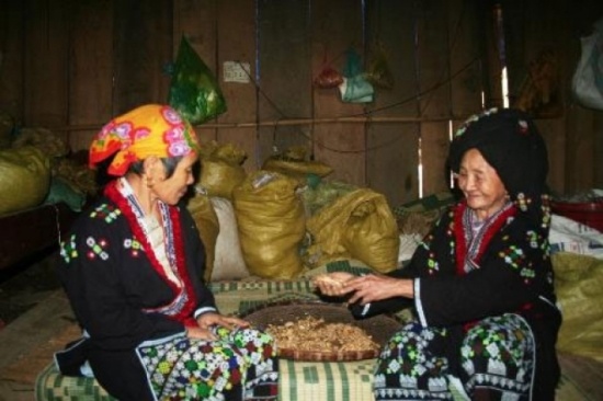 Mế Mụi đang truyền lại nghề thuốc bí truyền cho con dâu.