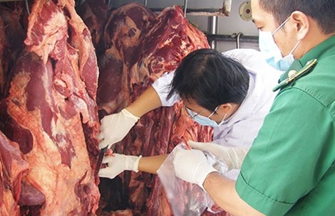 Dua thit bo bom nuoc vao cho, doa nat thu y hinh anh