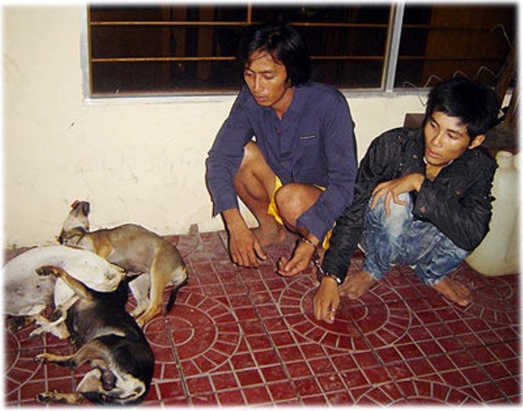 Trom cho ban bi thuong hai bao ve dan pho hinh anh