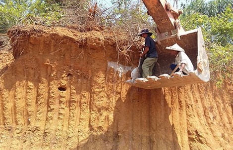 Da Nang chi dao khan vu 400 ngoi mo bi xuc di hinh anh