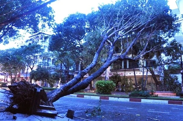 TP HCM co mua keo dai trong nhieu ngay hinh anh