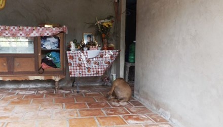 Dung gach danh ban nhau bat tinh roi khieng ve nha hinh anh