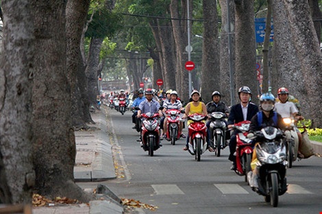 Khong don ha cay xanh tren duong Ton Duc Thang hinh anh