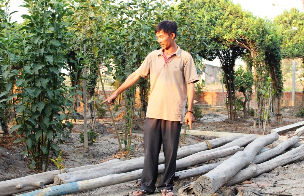 chu dat khoi to vi lam choi vit anh 1