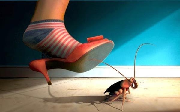 Tai sao gian la loai kho tieu diet nhat hanh tinh? hinh anh