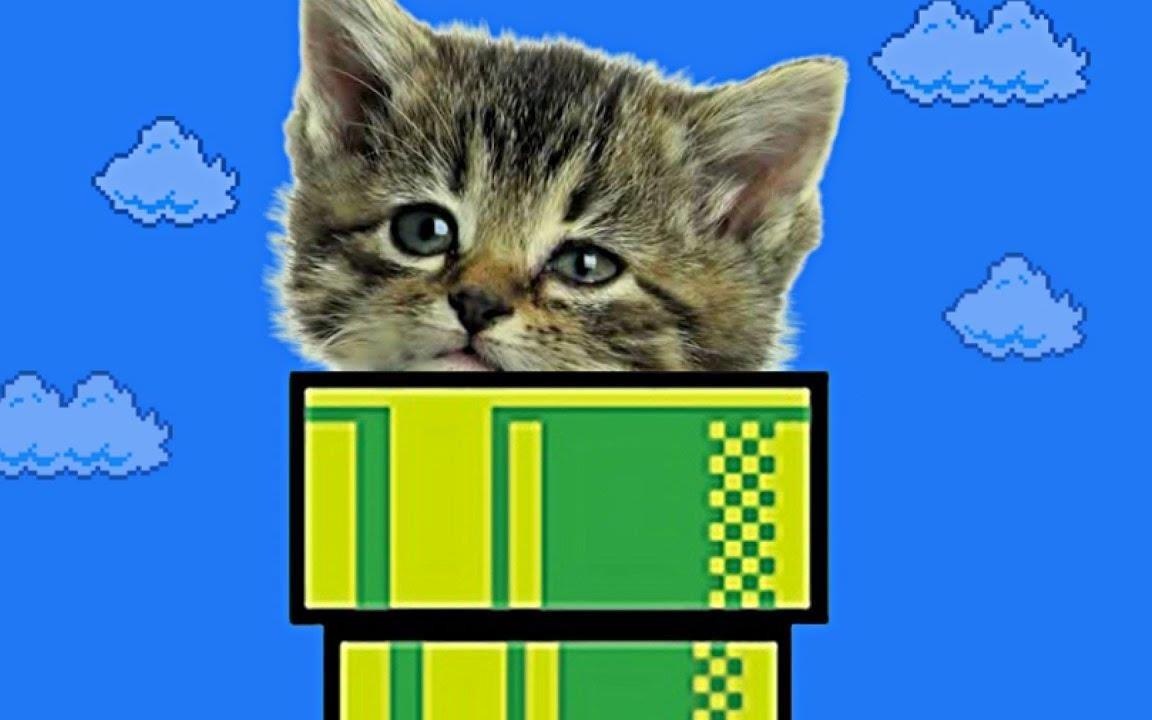 Su that ve tro choi dien tu duoc ke boi nhung chu meo hinh anh