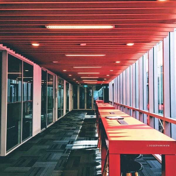 sinh vien rmit giau den muc nao anh 4