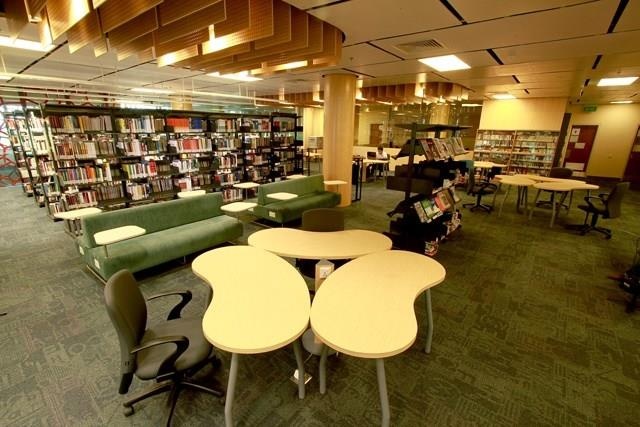 sinh vien rmit giau den muc nao anh 7