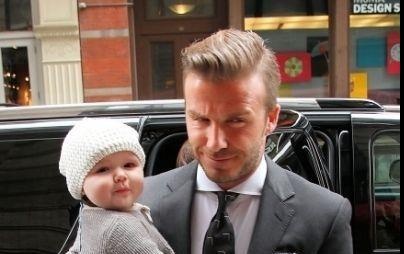 Khi cac ong bo cham con va nhung khoanh khac hai huoc 'kho do' hinh anh